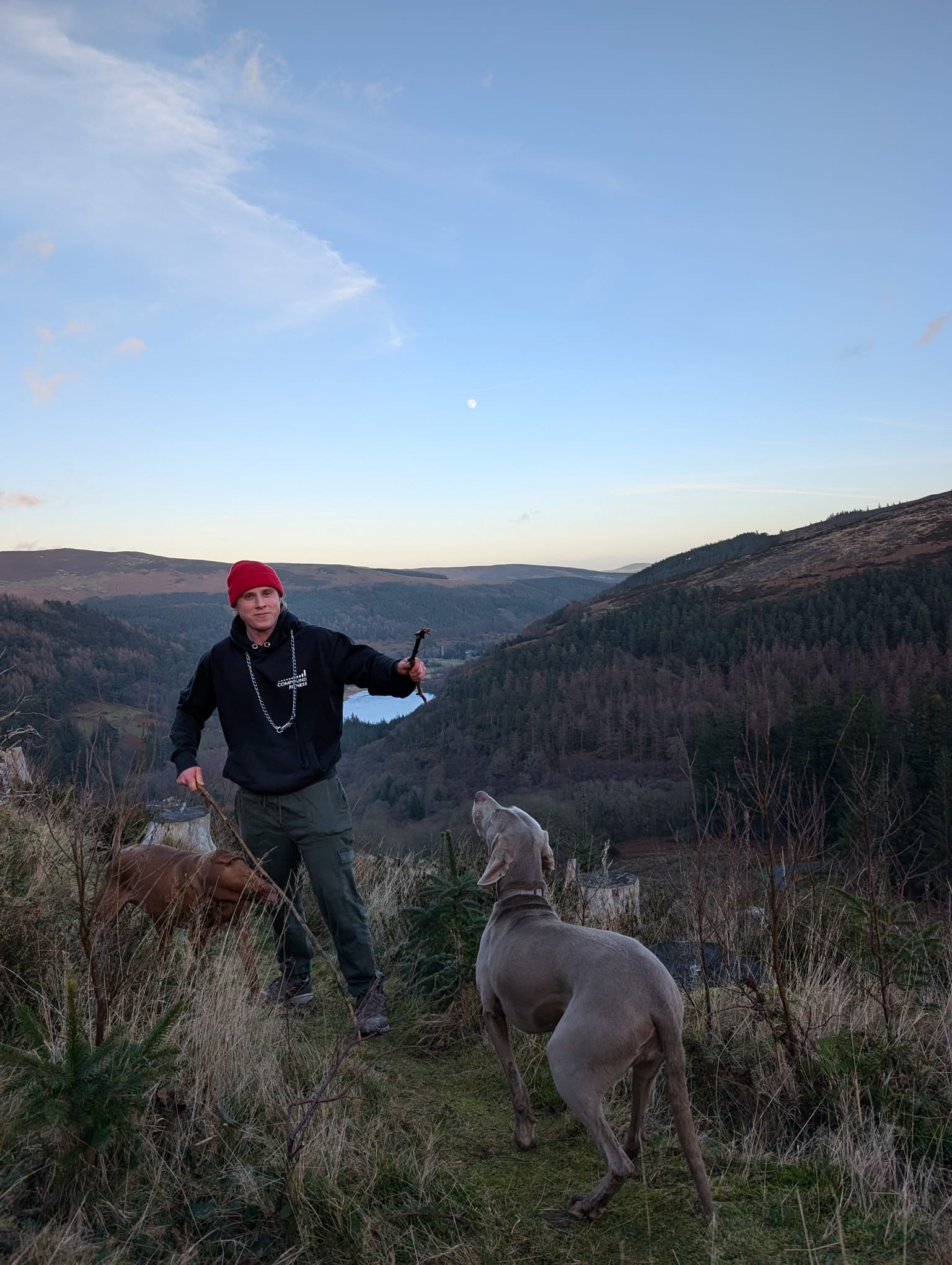 Levi with dogs in Wicklow mountains