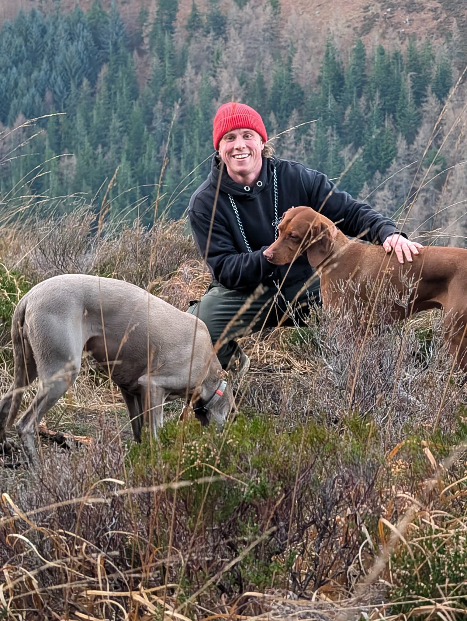 Levi crouching with dogs in heather