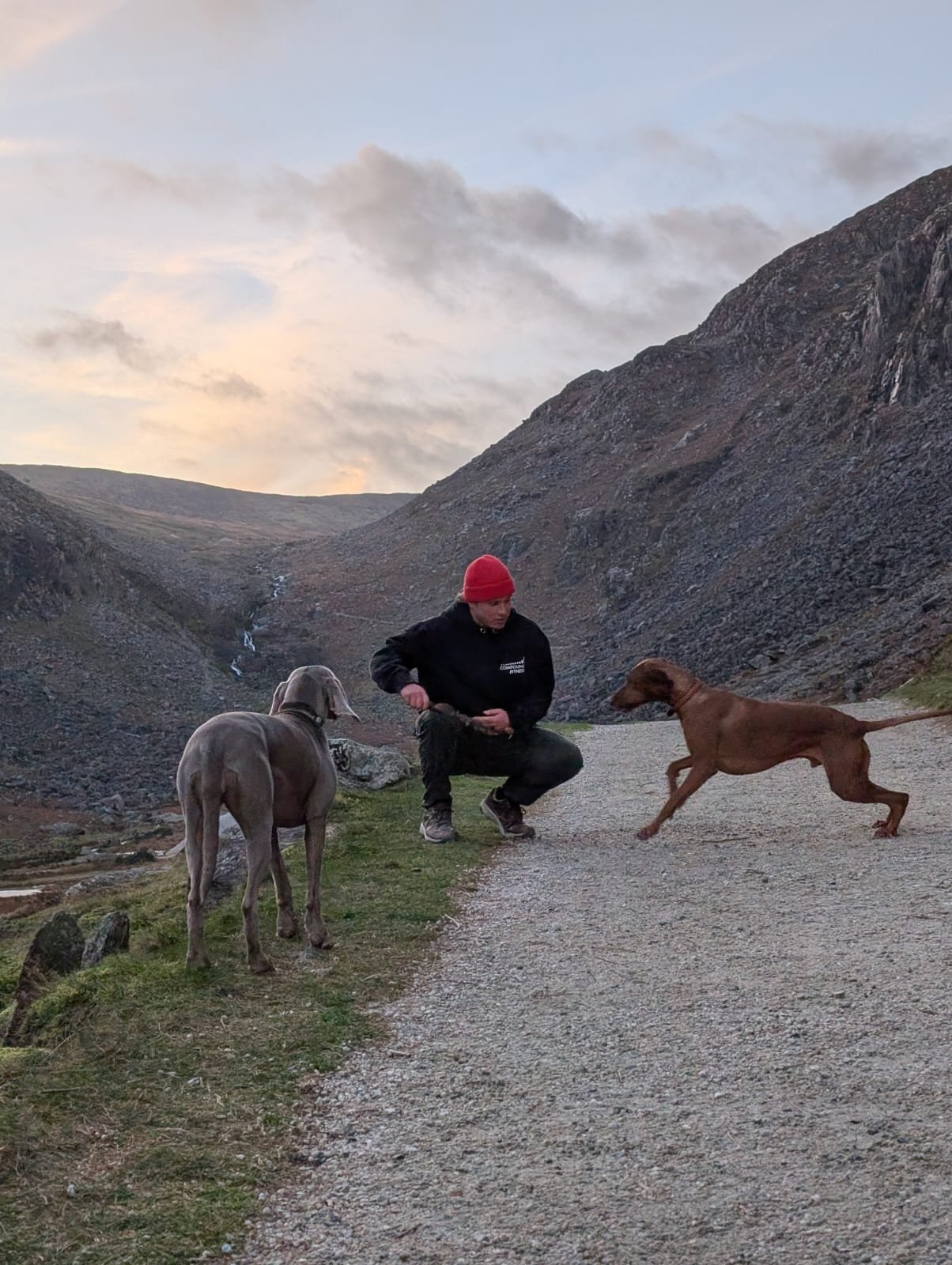 Levi with dogs in mountain valley